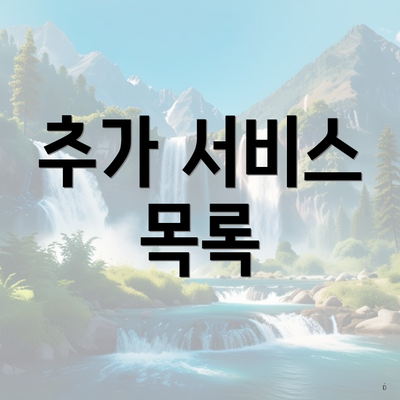 추가 서비스 목록