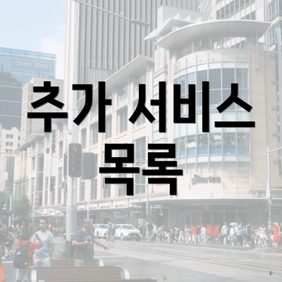 추가 서비스 목록