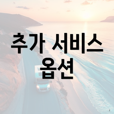 추가 서비스 옵션