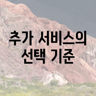 추가 서비스의 선택 기준