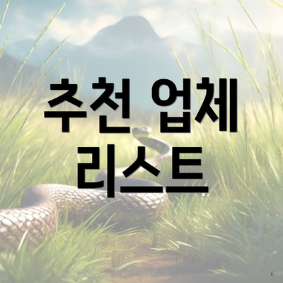 추천 업체 리스트