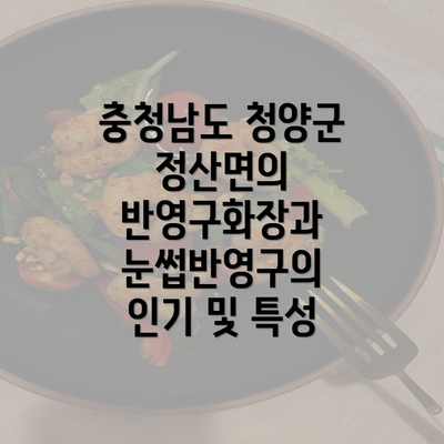 충청남도 청양군 정산면의 반영구화장과 눈썹반영구의 인기 및 특성