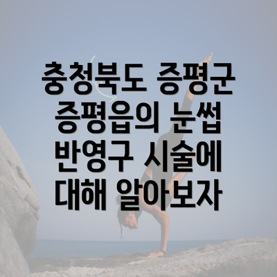 충청북도 증평군 증평읍의 눈썹 반영구 시술에 대해 알아보자