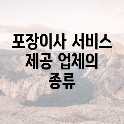 포장이사 서비스 제공 업체의 종류