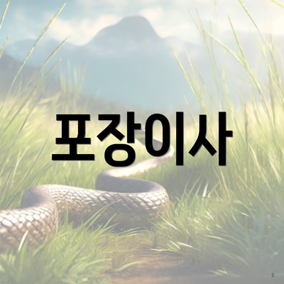 포장이사