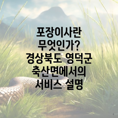 포장이사란 무엇인가? 경상북도 영덕군 축산면에서의 서비스 설명