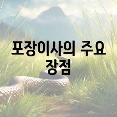 포장이사의 주요 장점