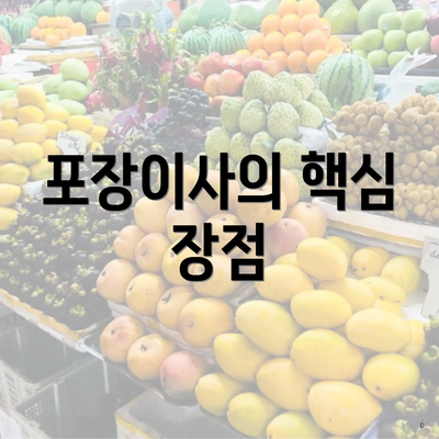 포장이사의 핵심 장점