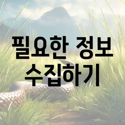 필요한 정보 수집하기