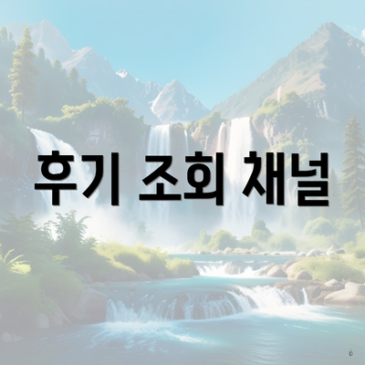 후기 조회 채널