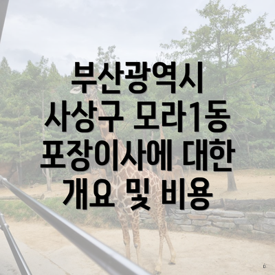 부산광역시 사상구 모라1동 포장이사에 대한 개요 및 비용