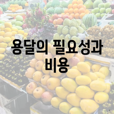 용달의 필요성과 비용