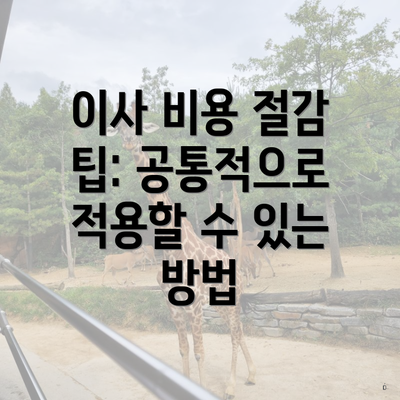 이사 비용 절감 팁: 공통적으로 적용할 수 있는 방법