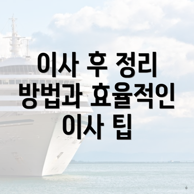 이사 후 정리 방법과 효율적인 이사 팁