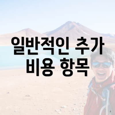 일반적인 추가 비용 항목