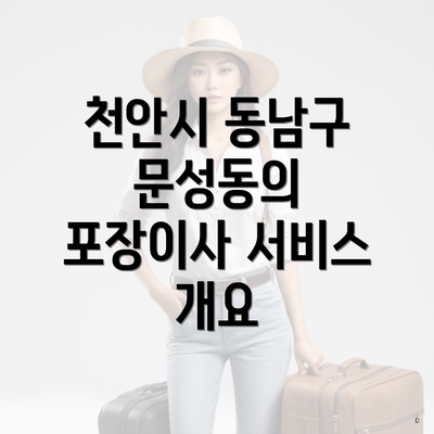 천안시 동남구 문성동의 포장이사 서비스 개요