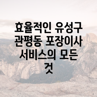 효율적인 유성구 관평동 포장이사 서비스의 모든 것